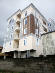 Image 1 Title