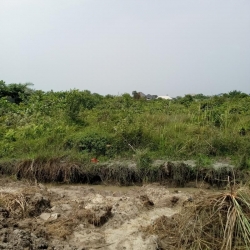 Image 1 Title