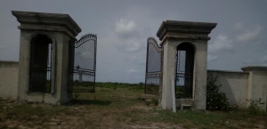 Image 1 Title
