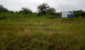 Image 1 Title