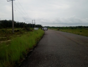 Image 1 Title