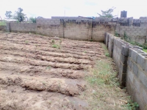 800sqm Dry, Fenced And Gated Land 800 Meter Square of Land for Sale Kuje Abuja Vetra  Property
