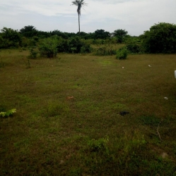 Plots Of Land In Aglowville Land for Sale Ibeju Lekki Lagos Vetra  Property