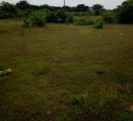 Image 1 Title