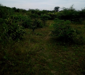 Image 1 Title