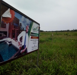 Plots Of Land @ Gardenia Homes Land for Sale Ibeju Lekki Lagos Vetra  Property