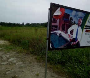Image 1 Title