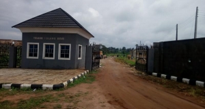 Estate Dry Land For Sale 30 Acres of Land for Sale Obafemi Owode Ogun Vetra  Property