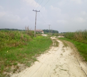 Image 1 Title