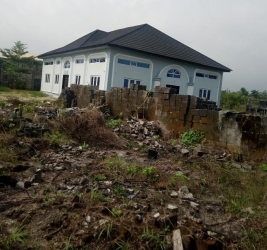 Image 1 Title