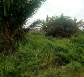 942sqm Dry Land For Sale 942 Meter Square of Land for Sale Lekki Lagos Vetra  Property