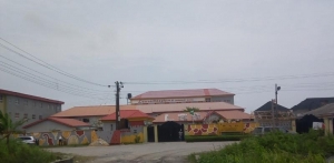 Image 1 Title