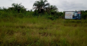 Estate Plots Of Land Land for Sale Ibeju Lekki Lagos Vetra  Property