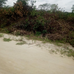 12 Plots (2 Acres) Of Dry Land 12 Plots of Land for Sale Obafemi Owode Ogun Vetra  Property