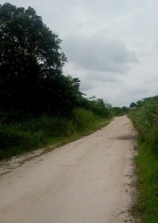 Image 1 Title
