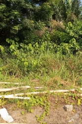 667sqm Bare Land For Sale. 667 Meter Square of Land for Sale Ajah Lagos Vetra  Property