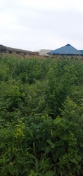 A Plot For Sale @ Ijede, Ikorodu 1 Plot of Land for Sale Ikorodu Lagos Vetra  Property