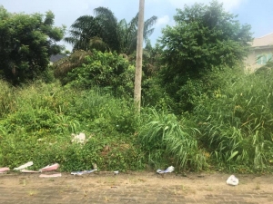 Image 1 Title