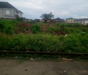 1,005sqm Square Shape Dry Land For Sale 1,005 Meter Square of Land for Sale Lekki Lagos Vetra  Property