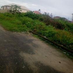 Image 1 Title