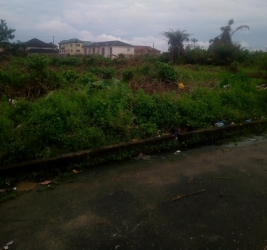 Image 1 Title