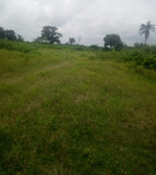 Image 1 Title