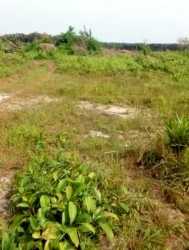 Buy & Build Estate Land 600 Meter Square of Land for Sale Ajah Lagos Vetra  Property