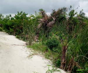 3 Plots Of Land In An Estate 3 Plots of Land for Sale Ajah Lagos Vetra  Property