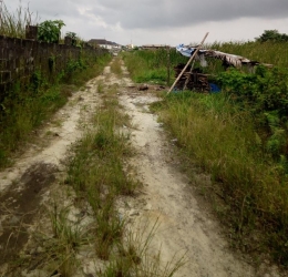 Image 1 Title