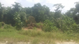 3 Plots Of Bare Land 3 Plots of Land for Sale Ajah Lagos Vetra  Property