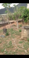 1587sqm Dry Land With Good Title 1,587 Meter Square of Land for Sale Durumi Abuja Vetra  Property