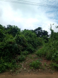 Over 20 Acres (120 Plots) Of Land In Ikorodu 20 Acres of Land for Sale Ikorodu Lagos Vetra  Property