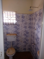 Image 1 Title