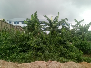 Acres Of Land 10 Plots of Land for Sale Isolo Lagos Vetra  Property