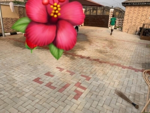 Image 1 Title