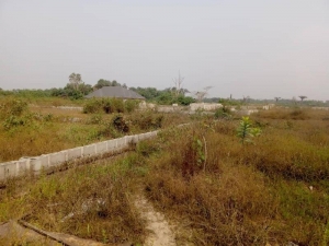 Plot Of Land  Land for Sale Ibeju Lekki Lagos Vetra  Property