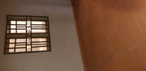 Image 1 Title