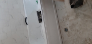 Image 1 Title