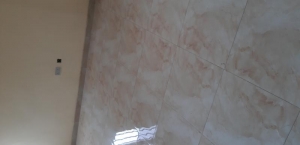 Image 1 Title