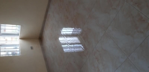 Image 1 Title
