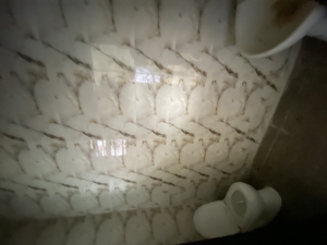 Image 1 Title