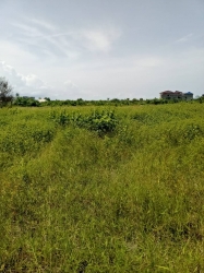 Land For Sale In Ibeju Lekki Lagos Land for Sale Ibeju Lekki Lagos Vetra  Property