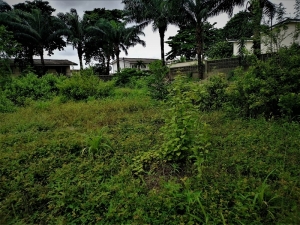Image 1 Title