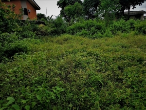 Image 1 Title