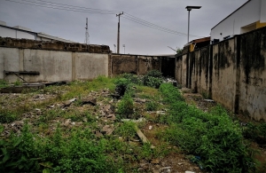 Image 1 Title