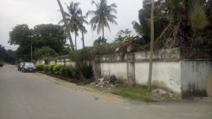 Image 1 Title