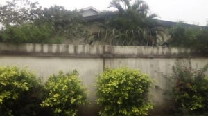 Image 1 Title
