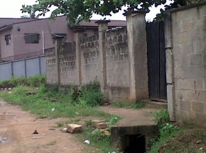 Image 1 Title
