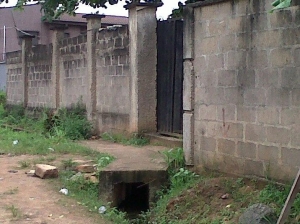 Image 1 Title