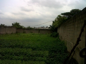 Image 1 Title